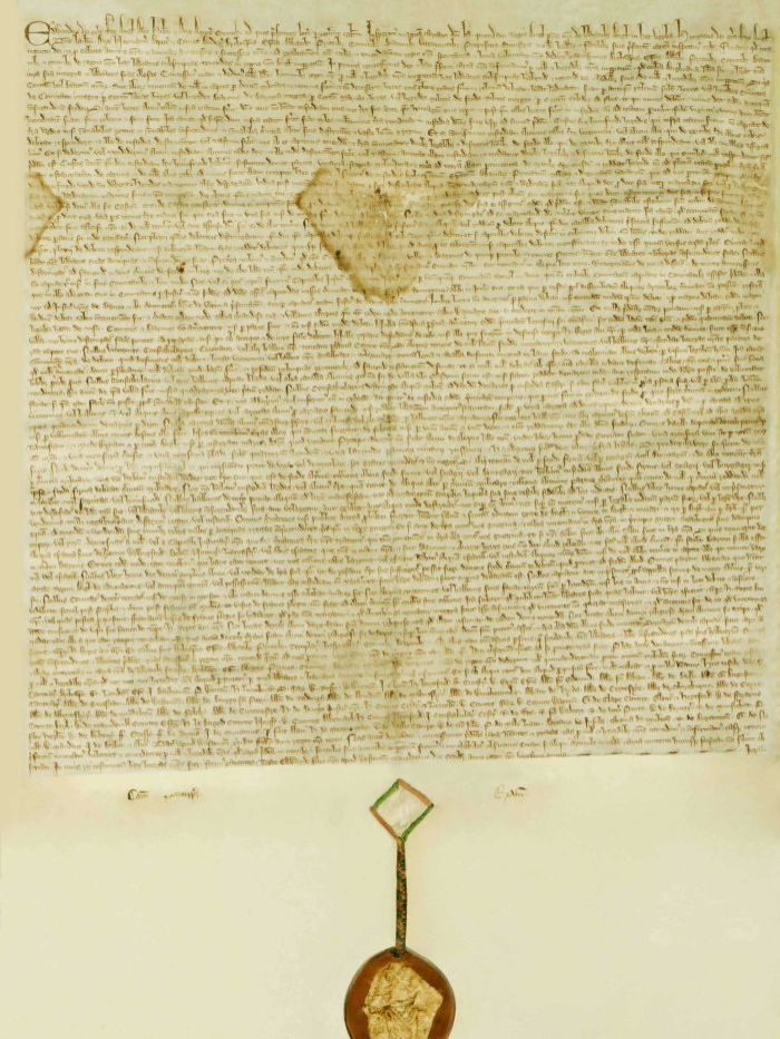 CartaMagna 1297